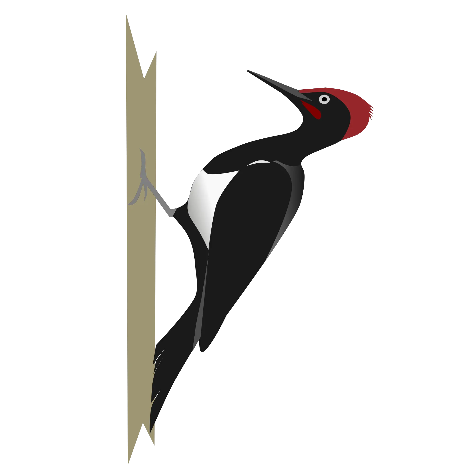 Woodpecker PNG