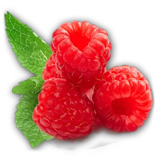 Rraspberry PNG image