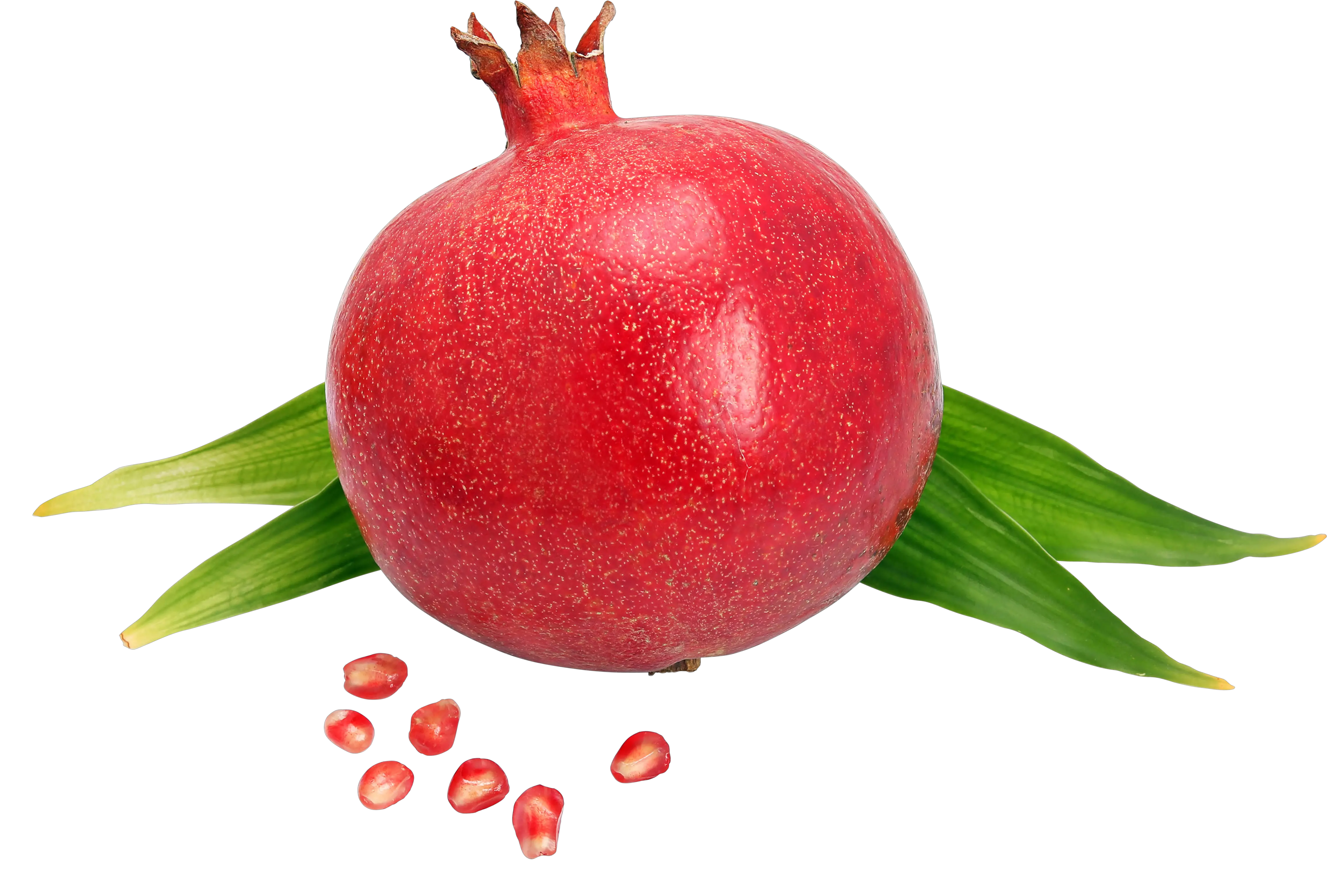 Pomegranate PNG