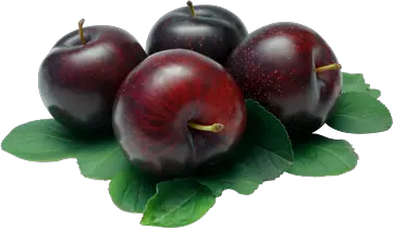 Plum PNG image