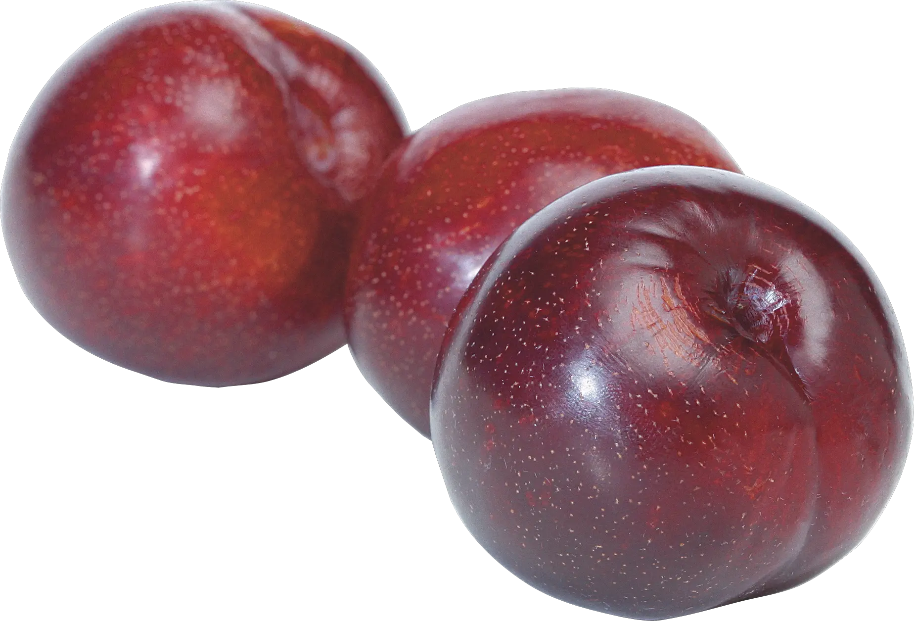 Plum PNG image