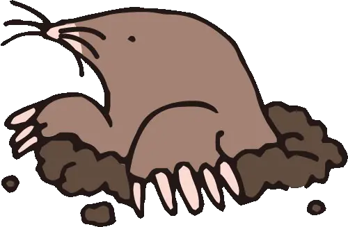 Mole PNG