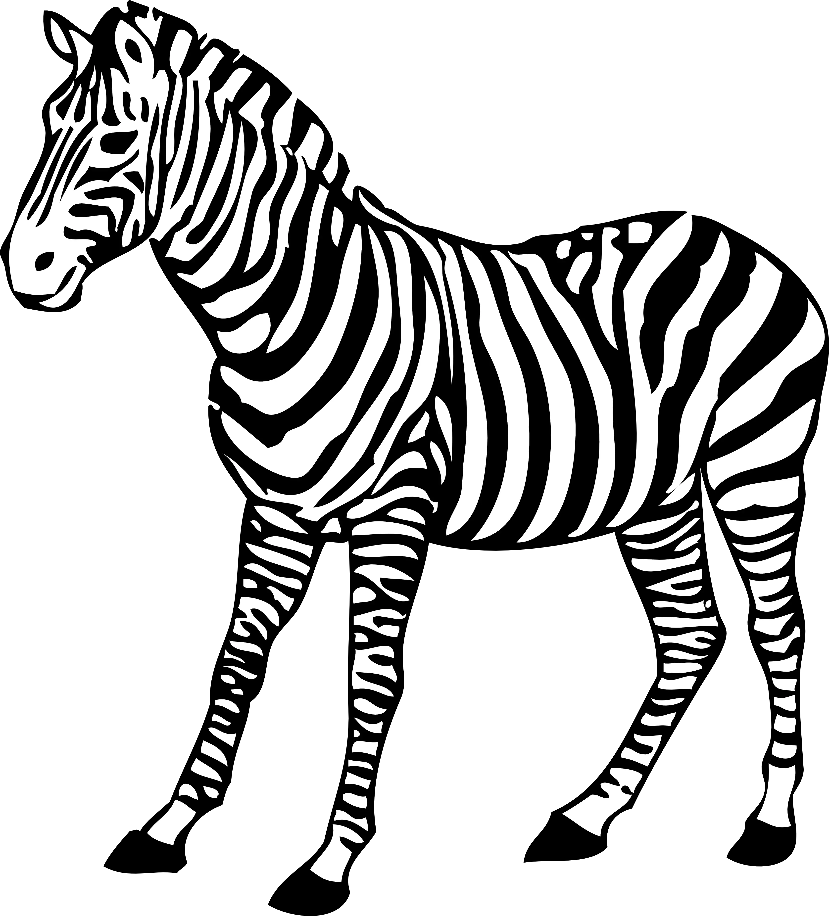 Zebra PNG image