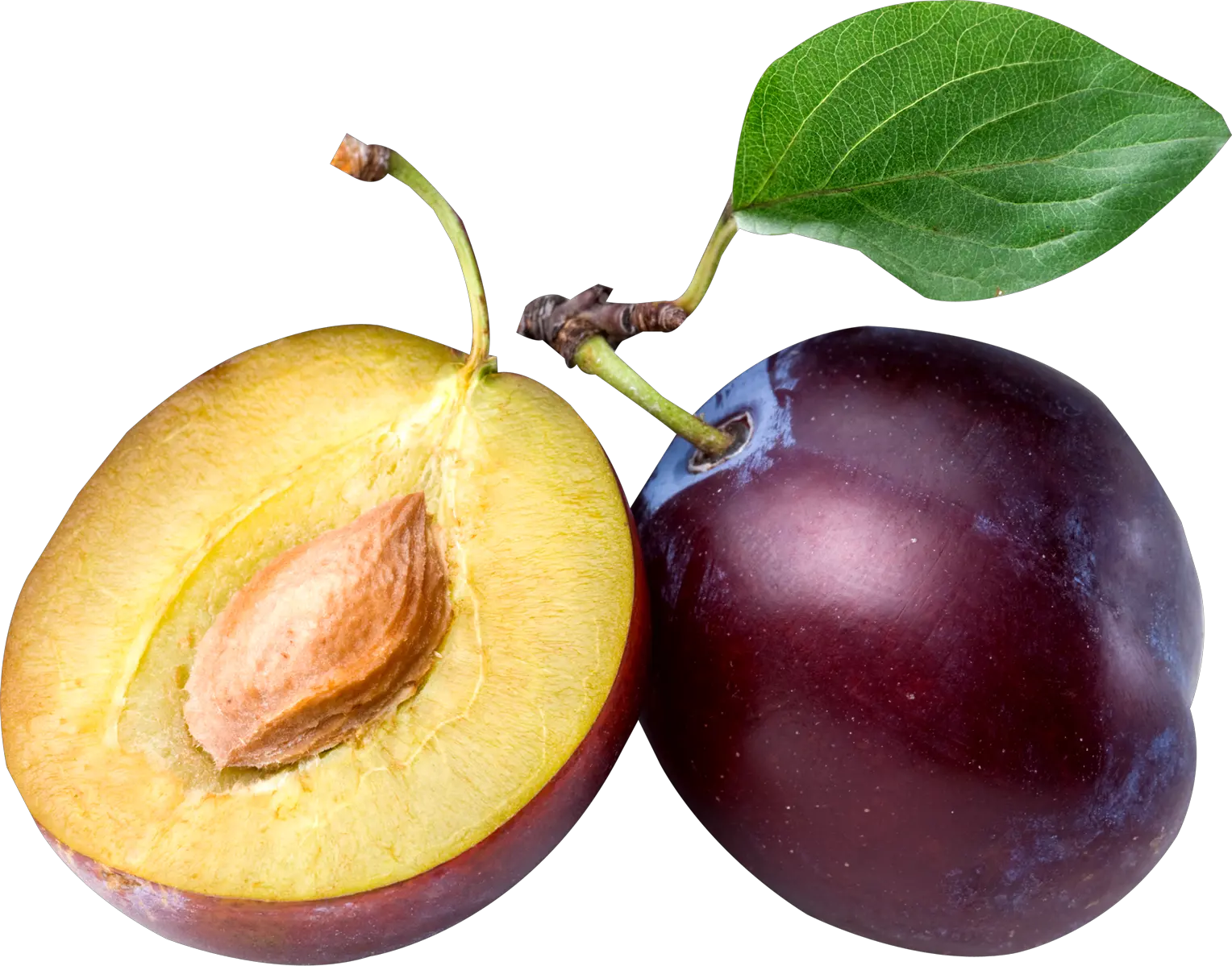 Plum PNG image