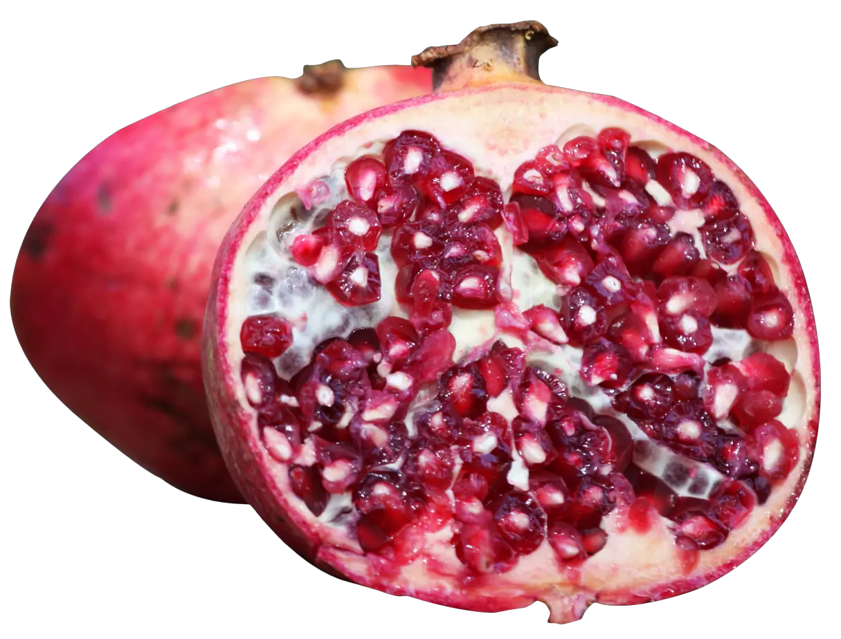 Pomegranate PNG