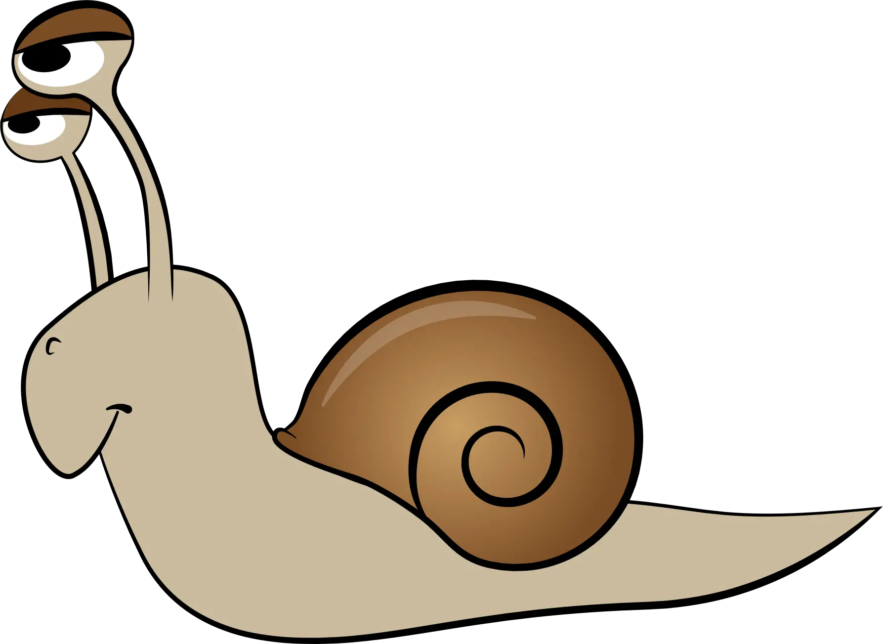 Snail PNG