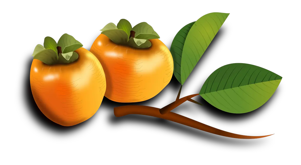 Persimmon PNG