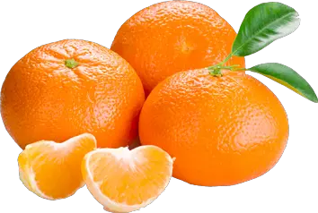 Three oranges PNG image