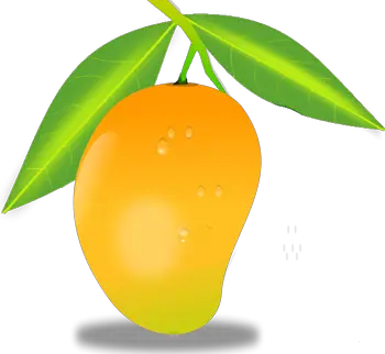 Mango PNG image