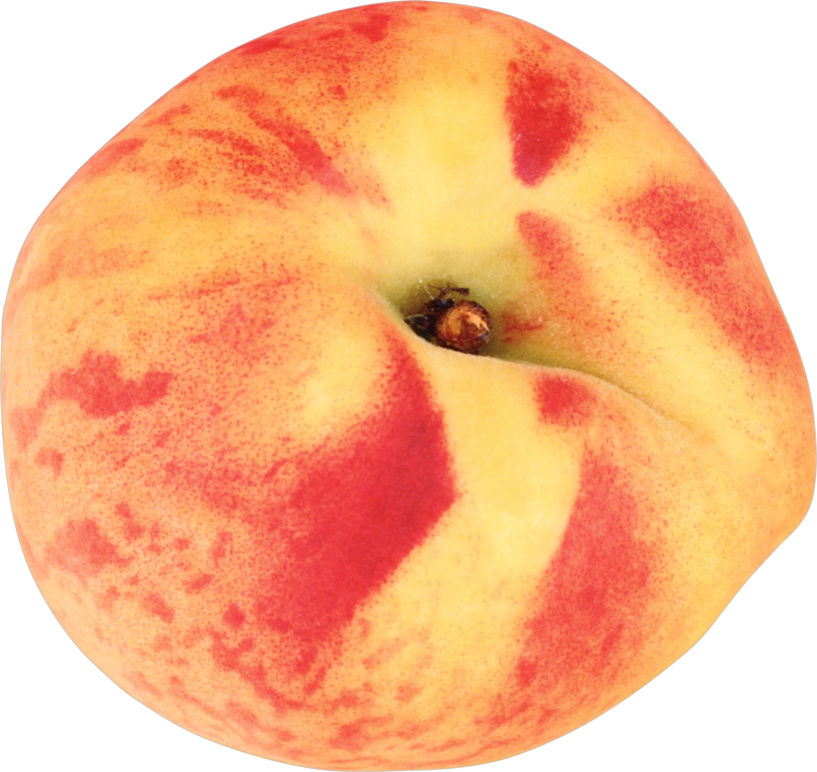 Peach PNG image