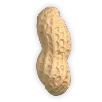 Peanut PNG