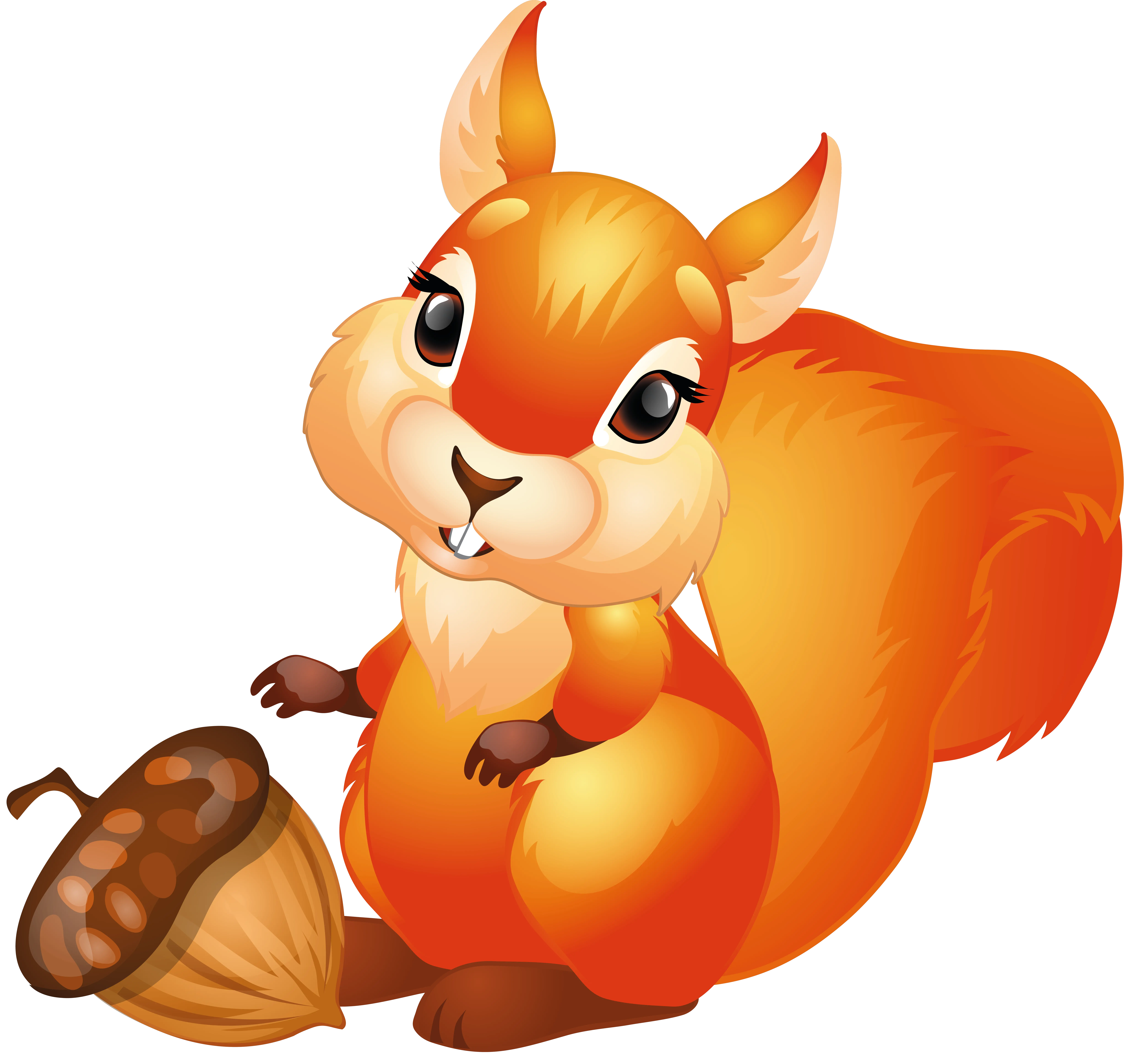 Squirrel PNG