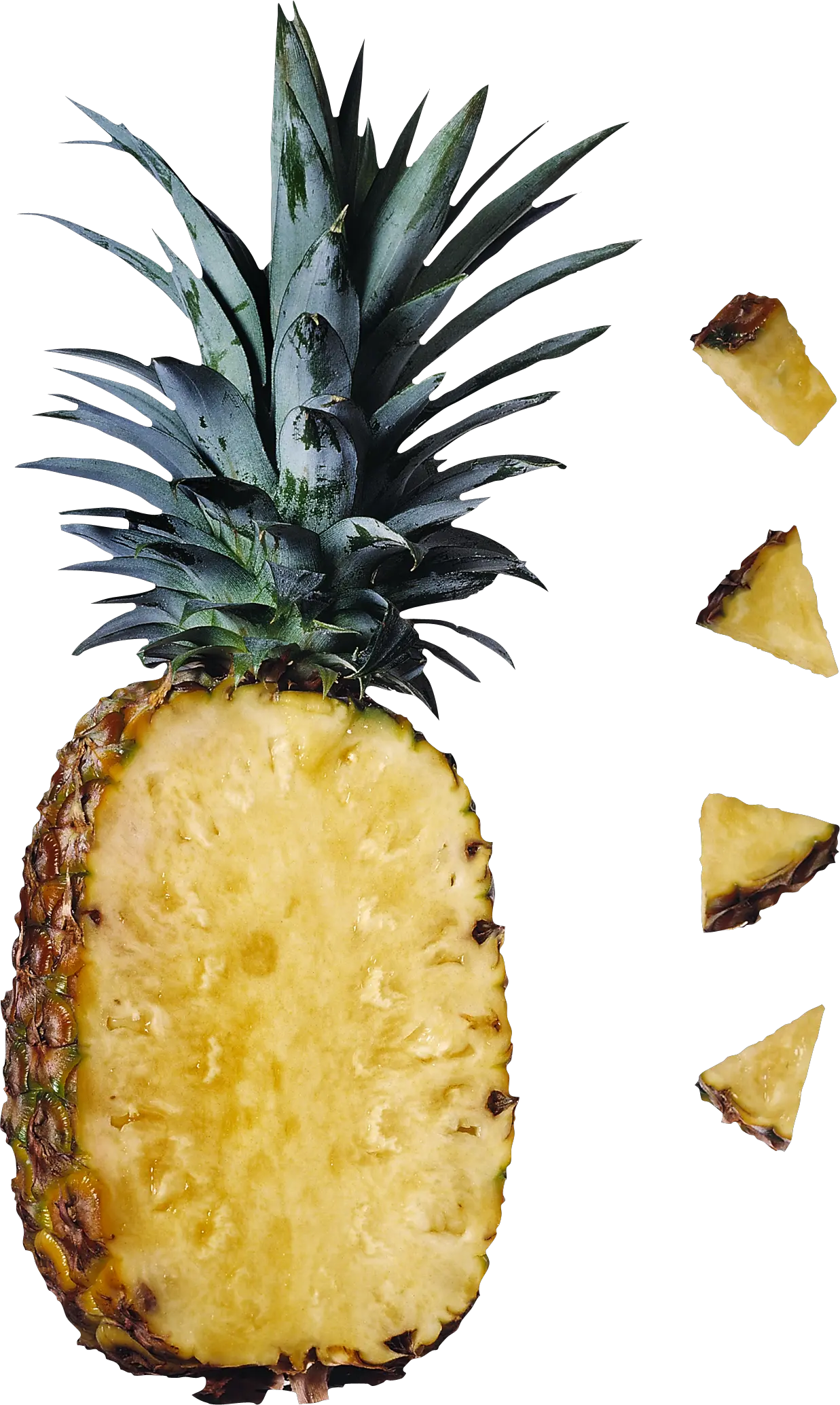 Pineapple PNG image free download
