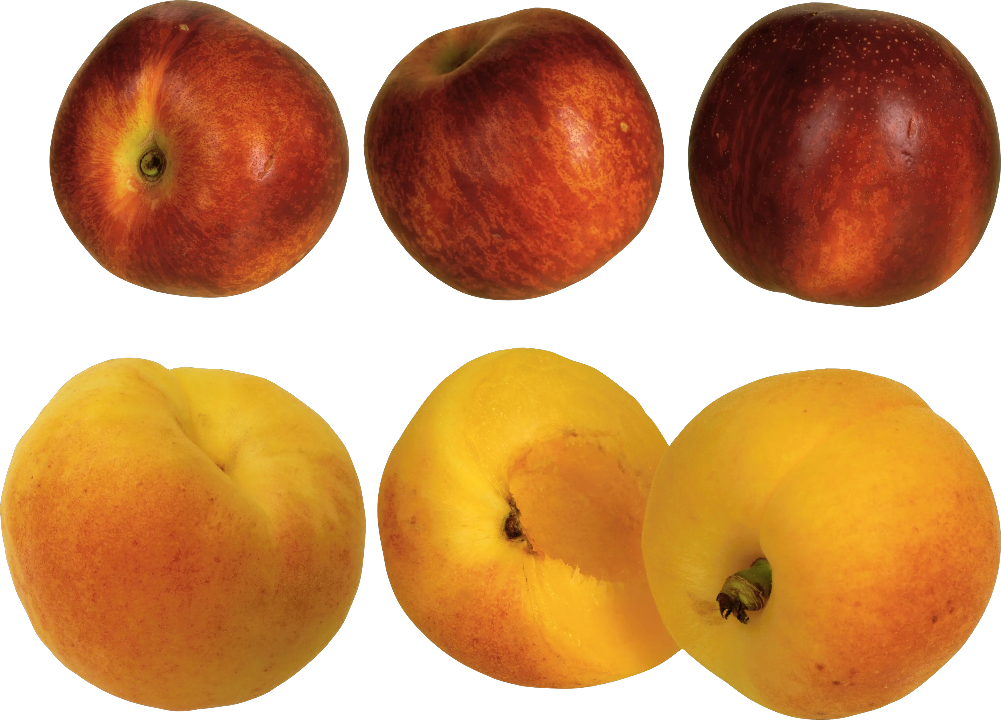 Peach PNG image
