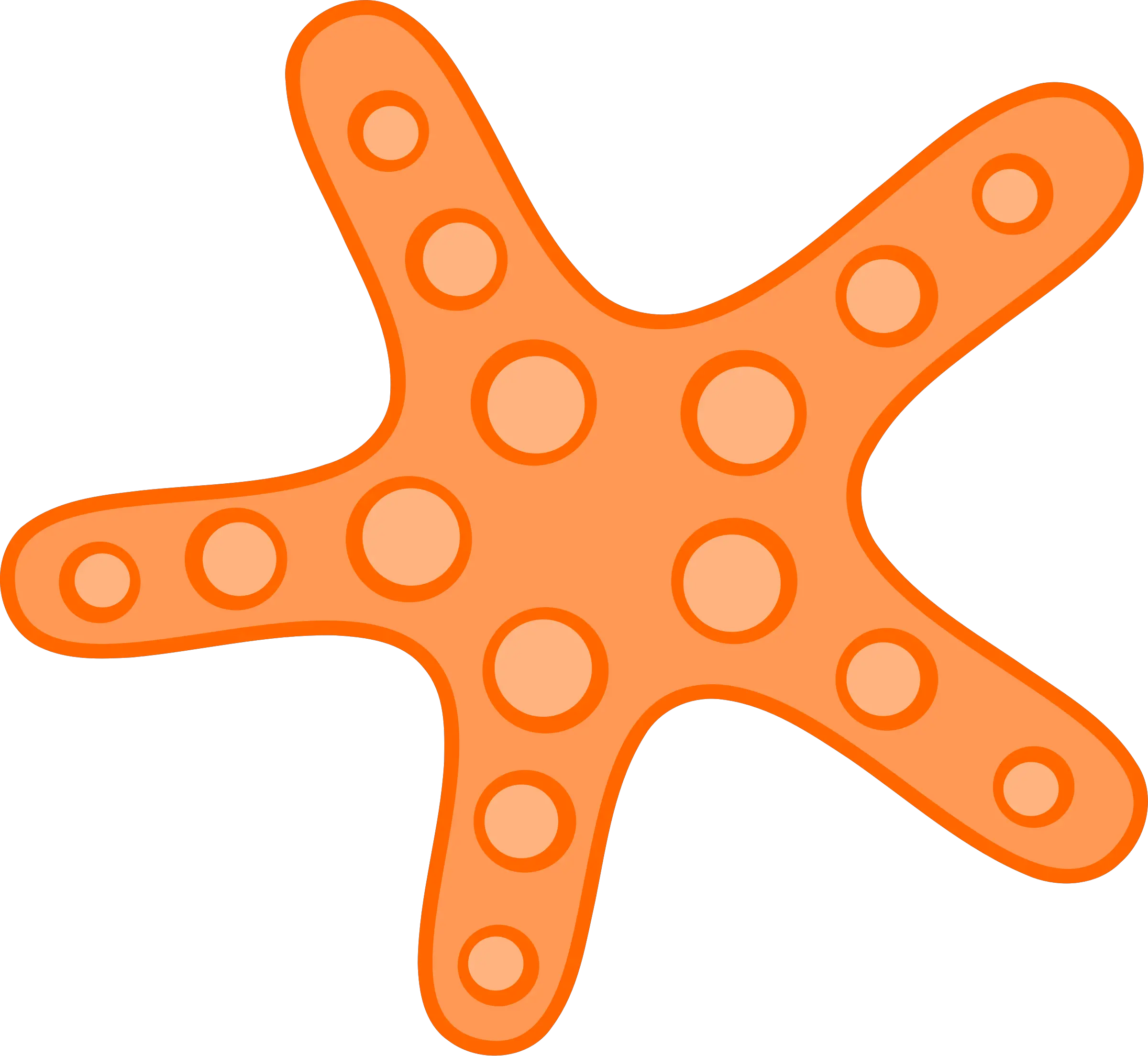 Starfish PNG