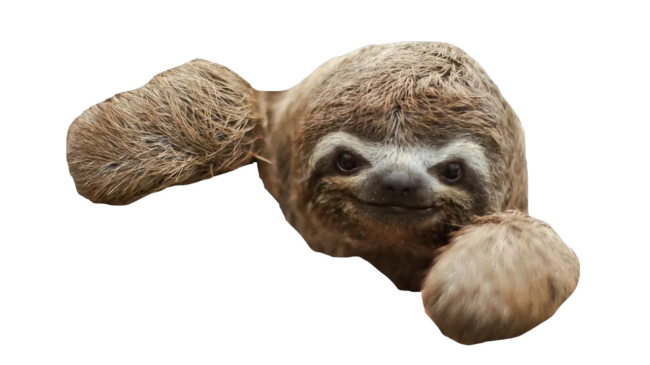 Sloth PNG