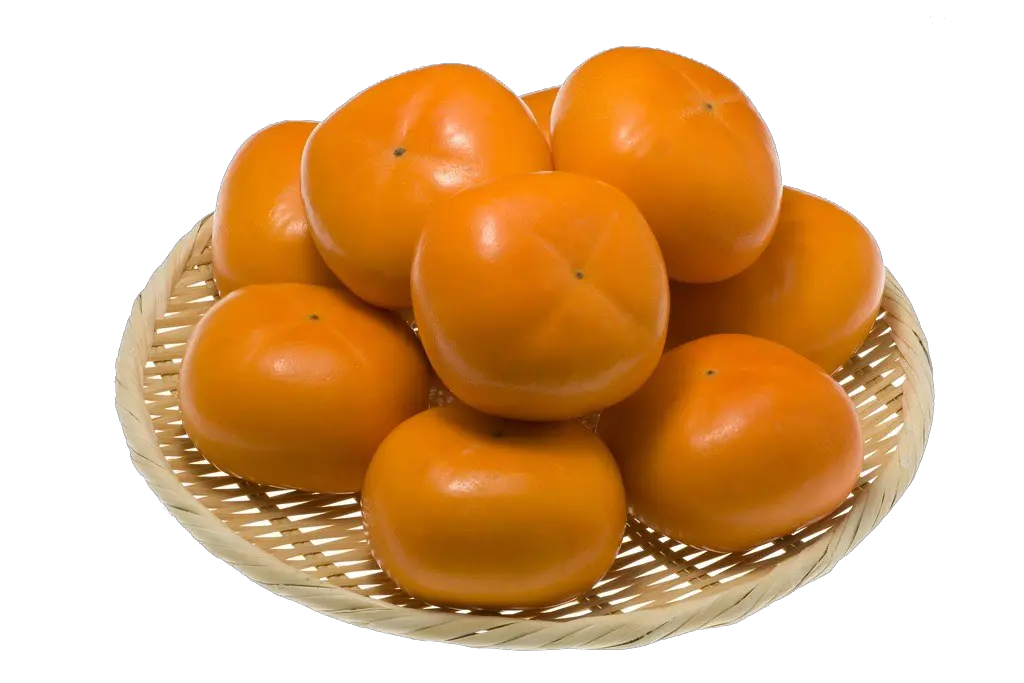 Persimmon PNG