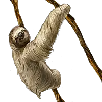 Sloth PNG