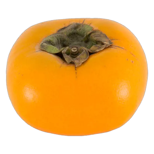 Persimmon PNG