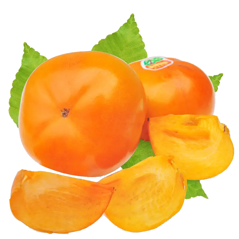 Persimmon PNG