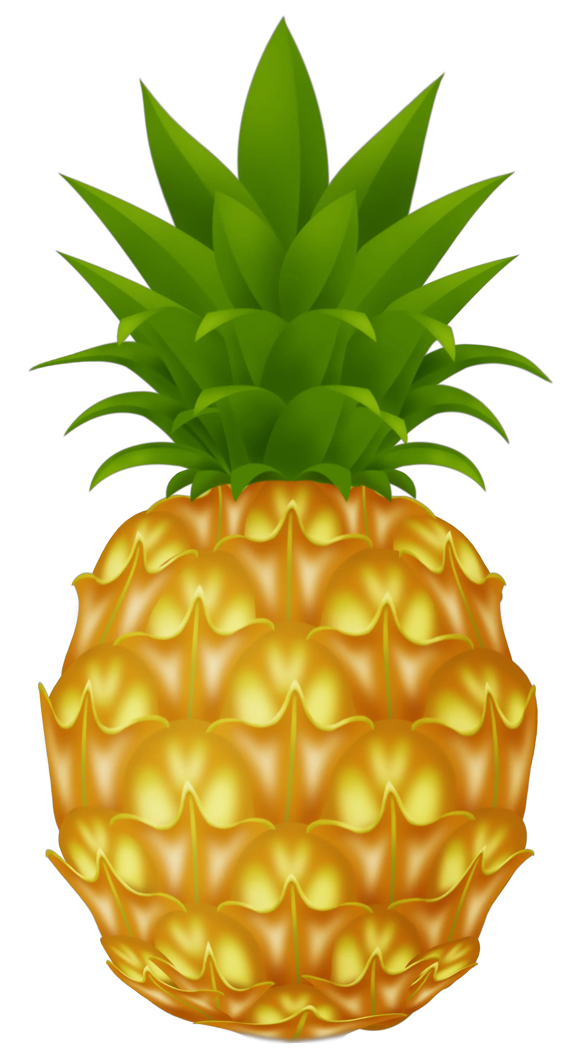 Pineapple PNG image free download