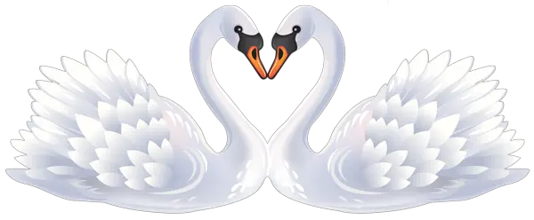 Swan PNG