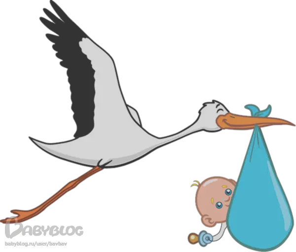 stork baby PNG