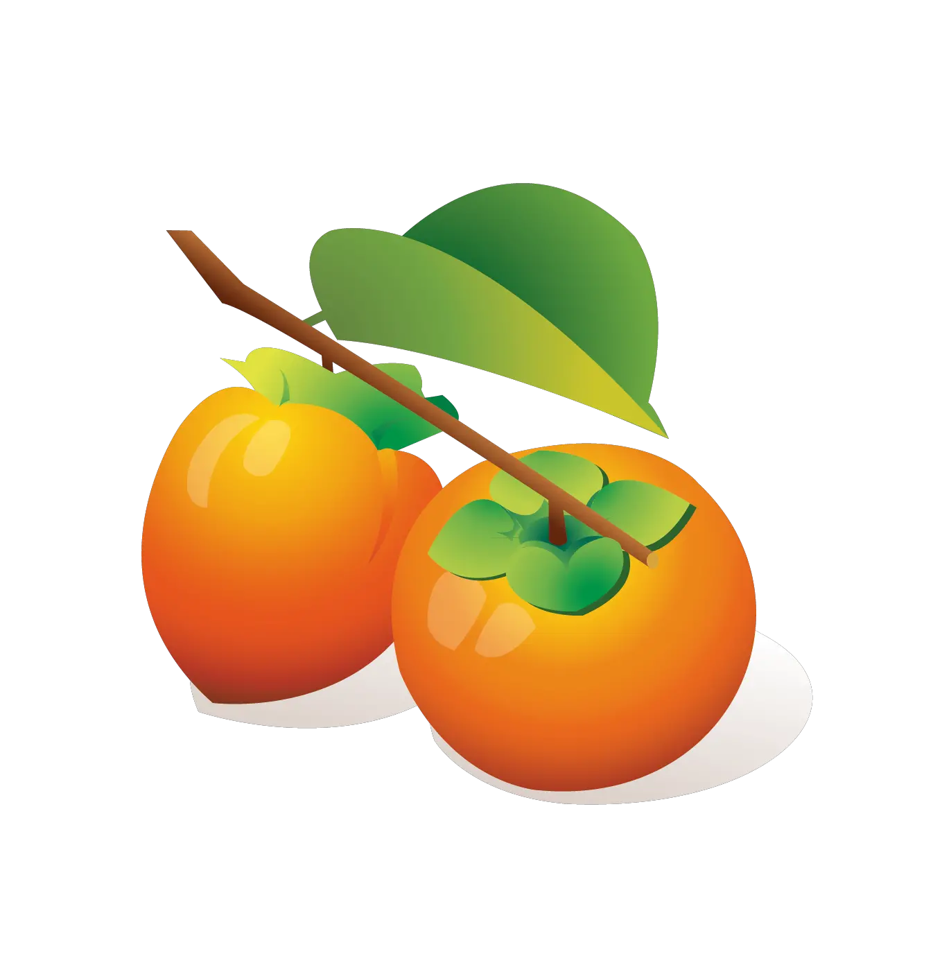 Persimmon PNG