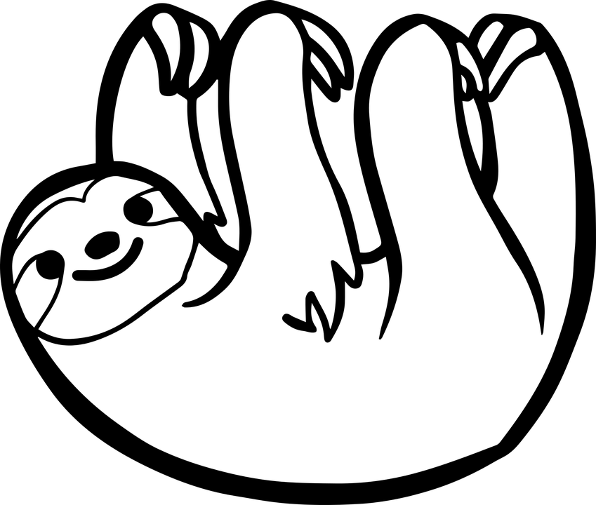 Sloth PNG