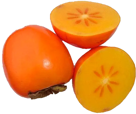 Persimmon PNG image