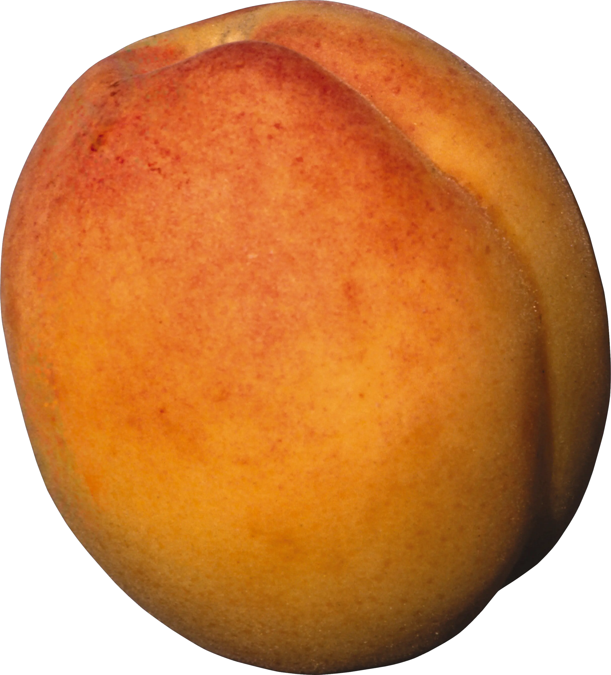Peach PNG image