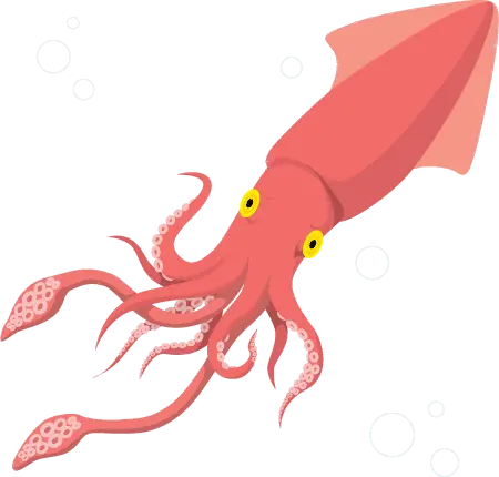 Squid PNG