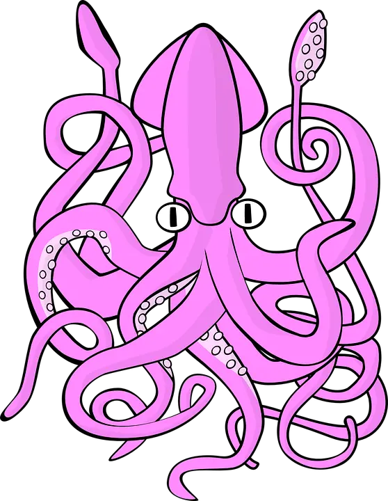 Squid PNG