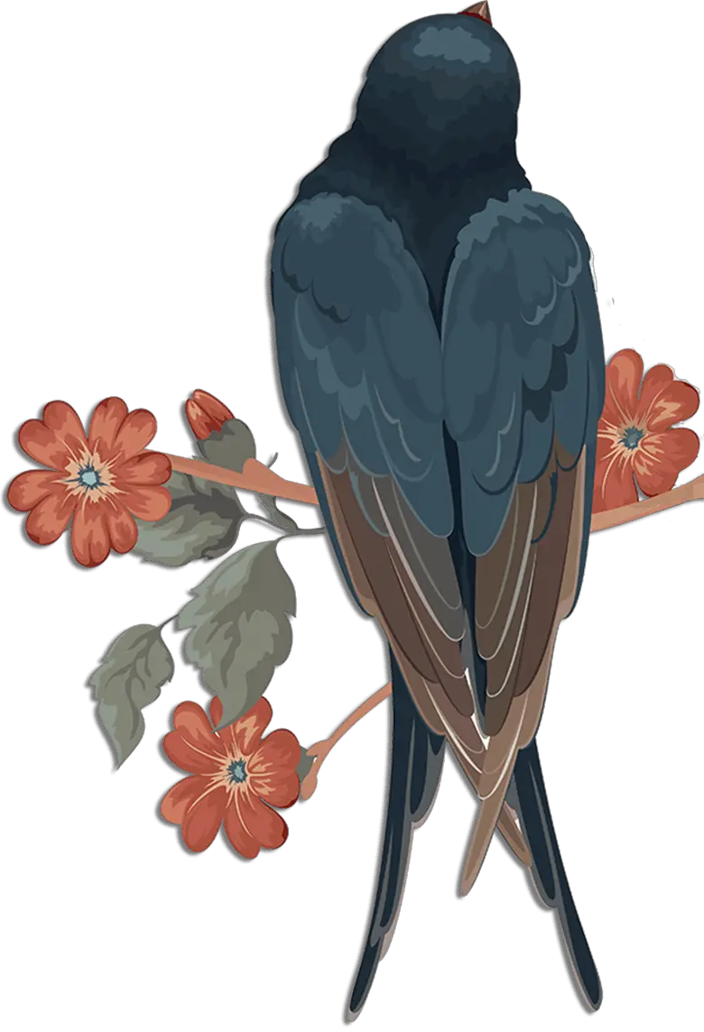 Swallow PNG