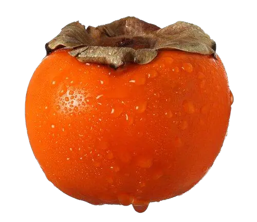 Persimmon PNG image