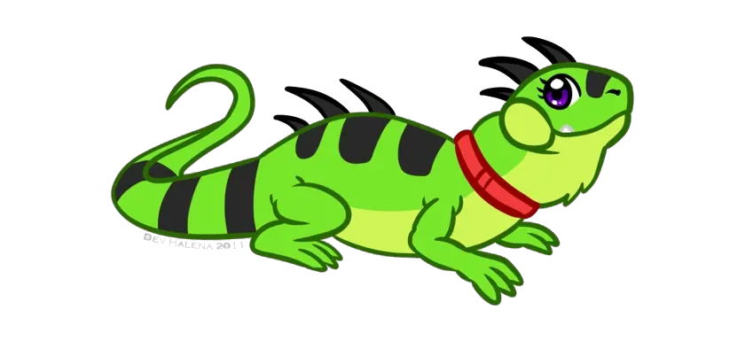 Iguana PNG