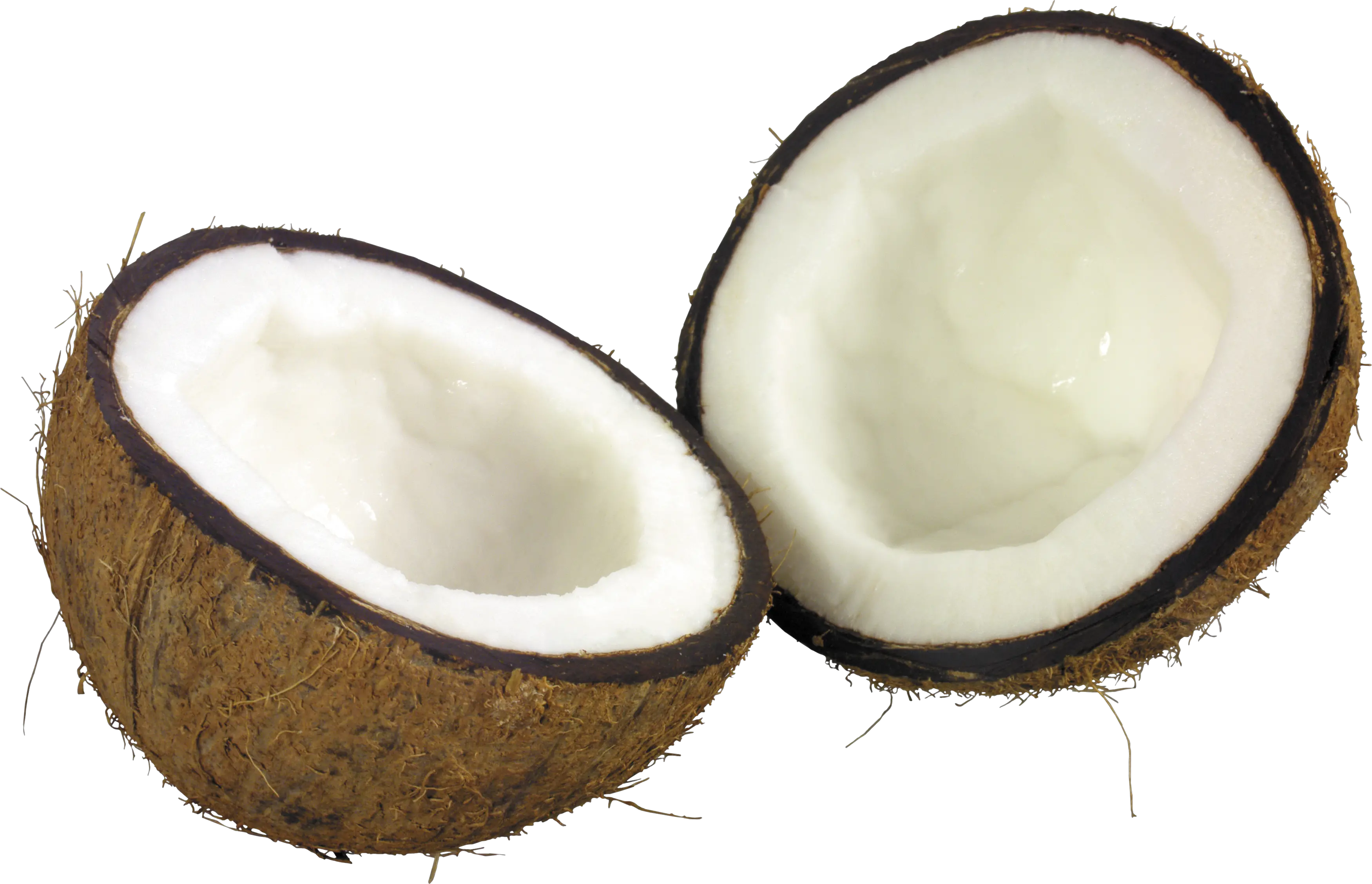 Coconut PNG image