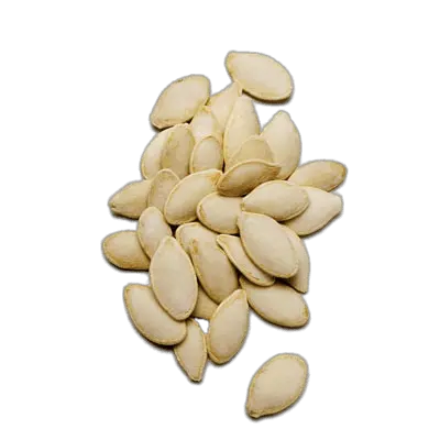 Pumpkin seeds PNG