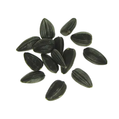 Sunflower seeds PNG