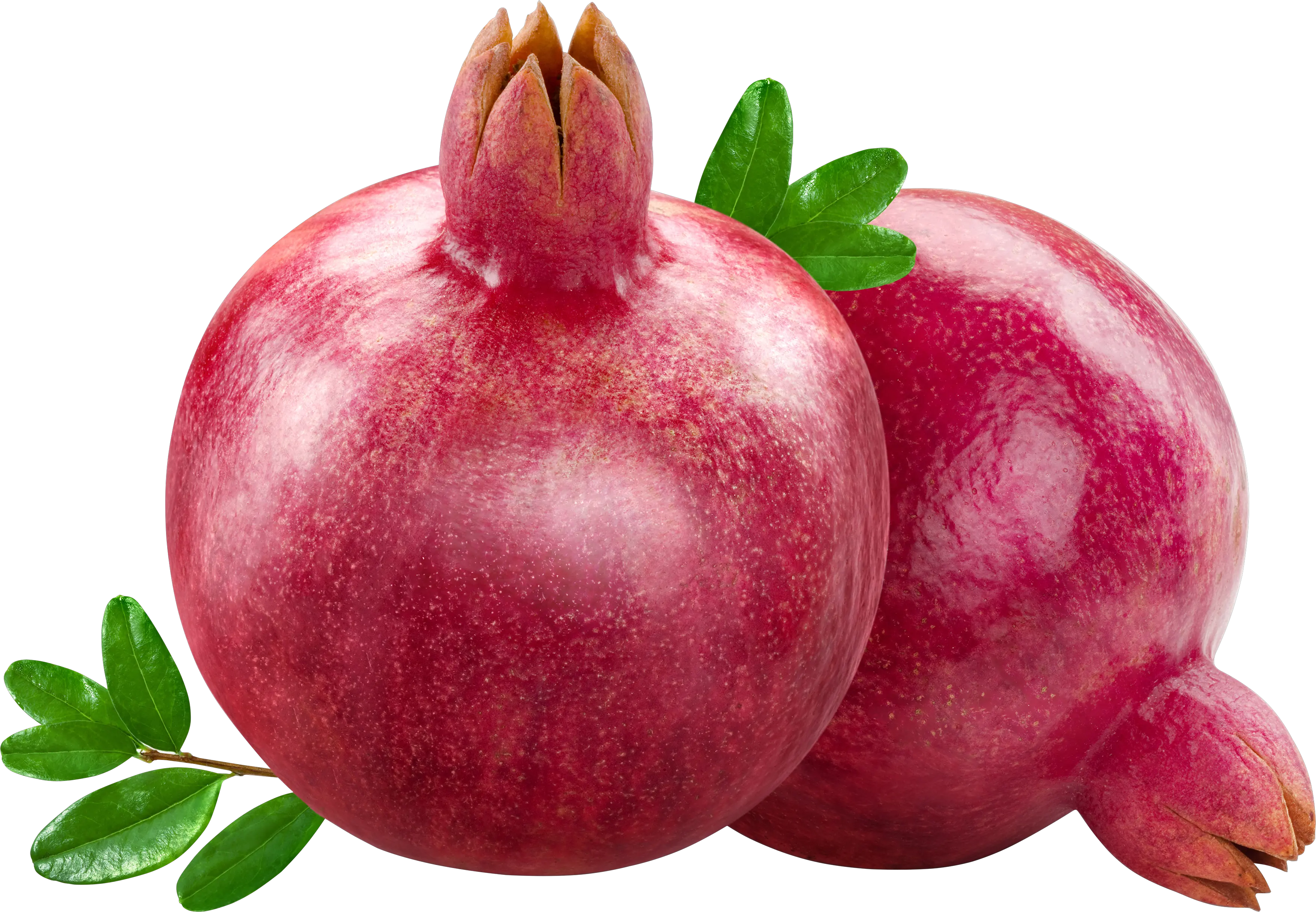 Pomegranate PNG image