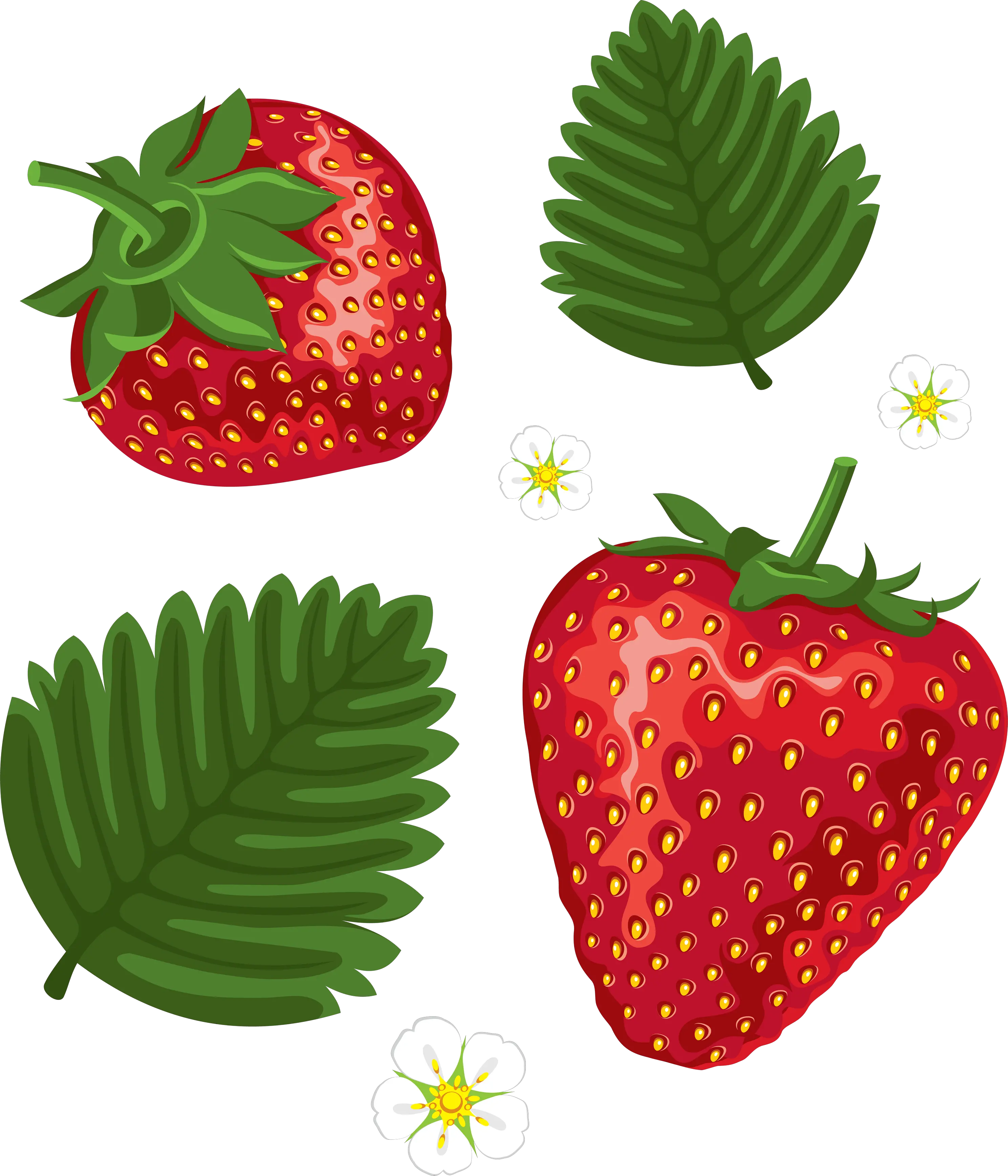 Strawberry with green leaves PNG images
