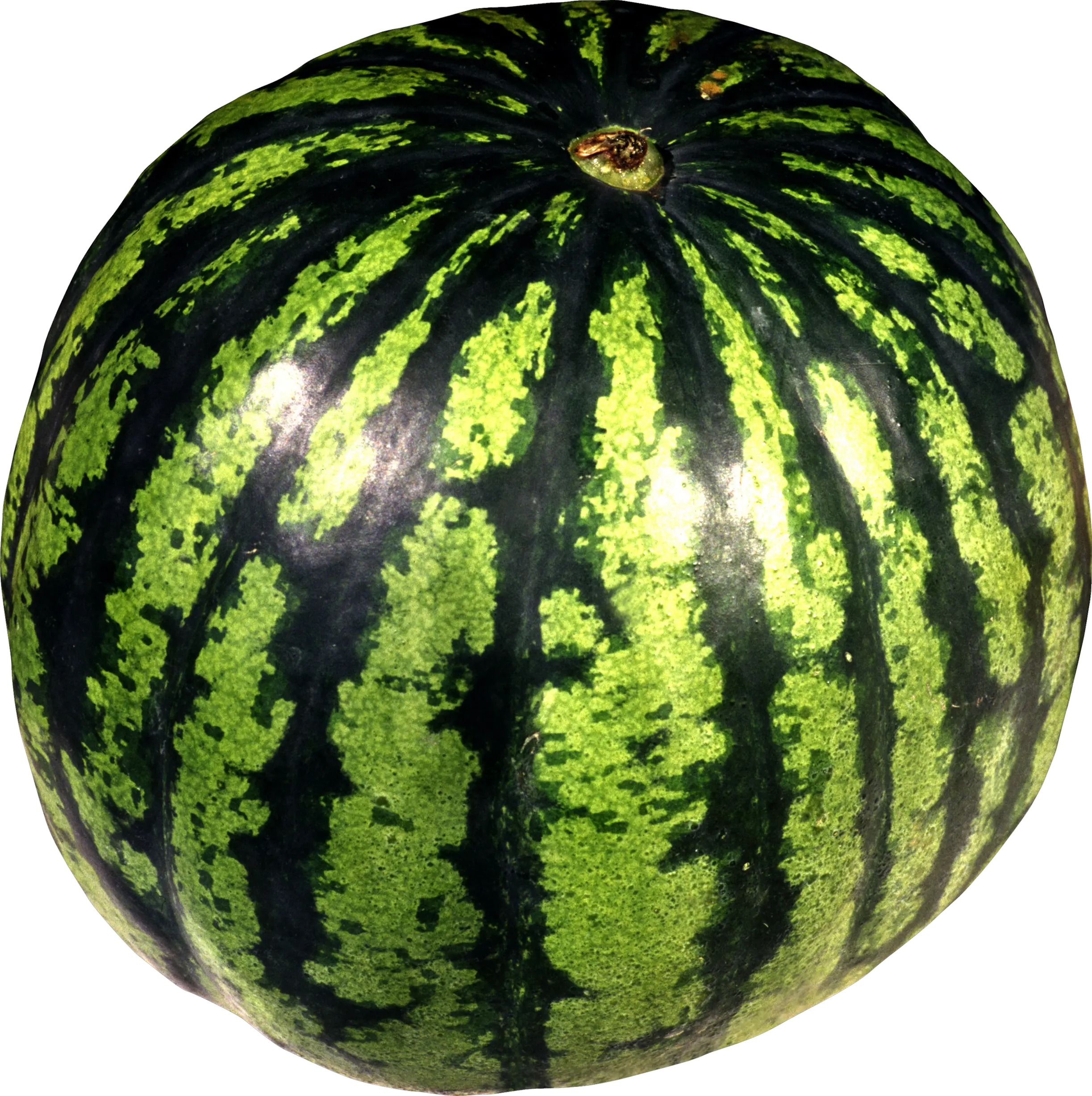 watermelon PNG image