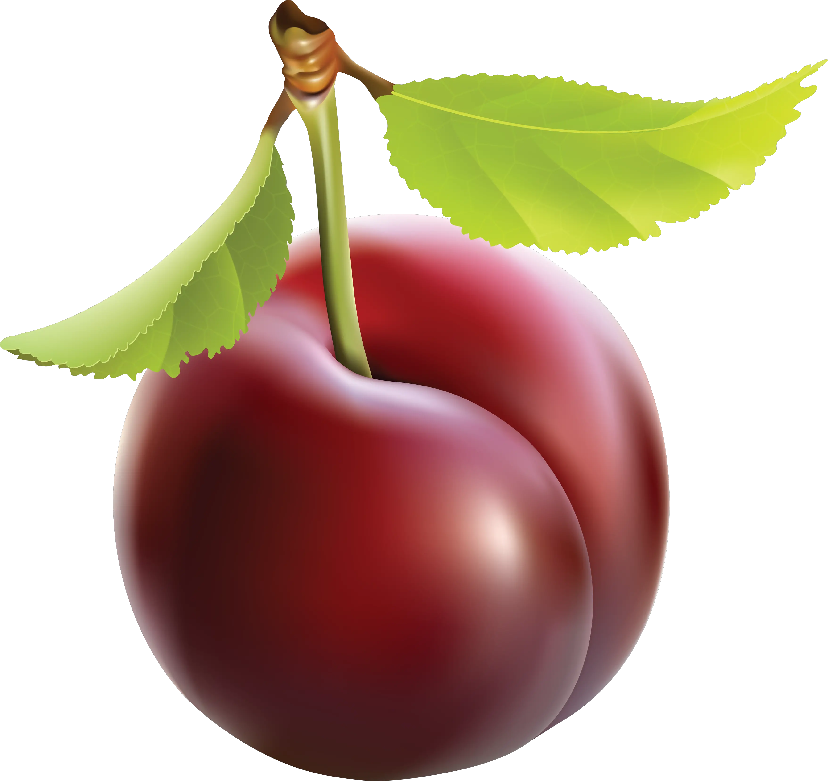 Plum PNG image