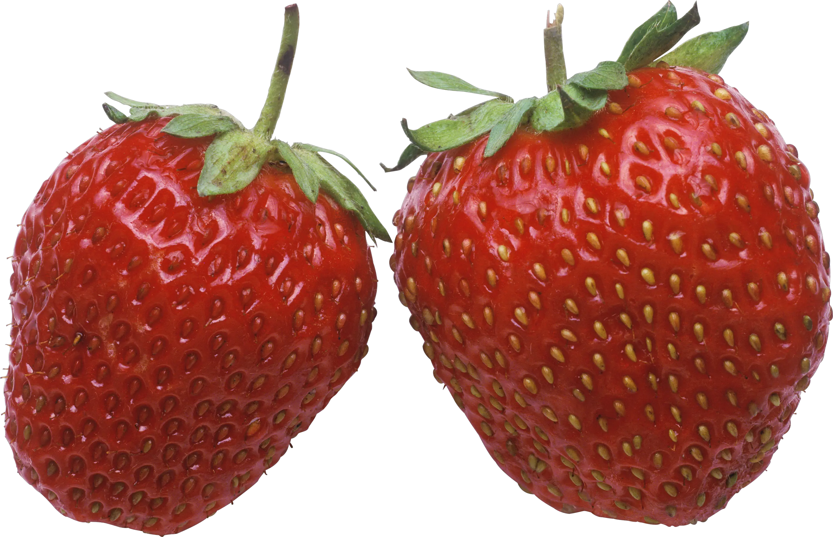 Strawberry photo PNG