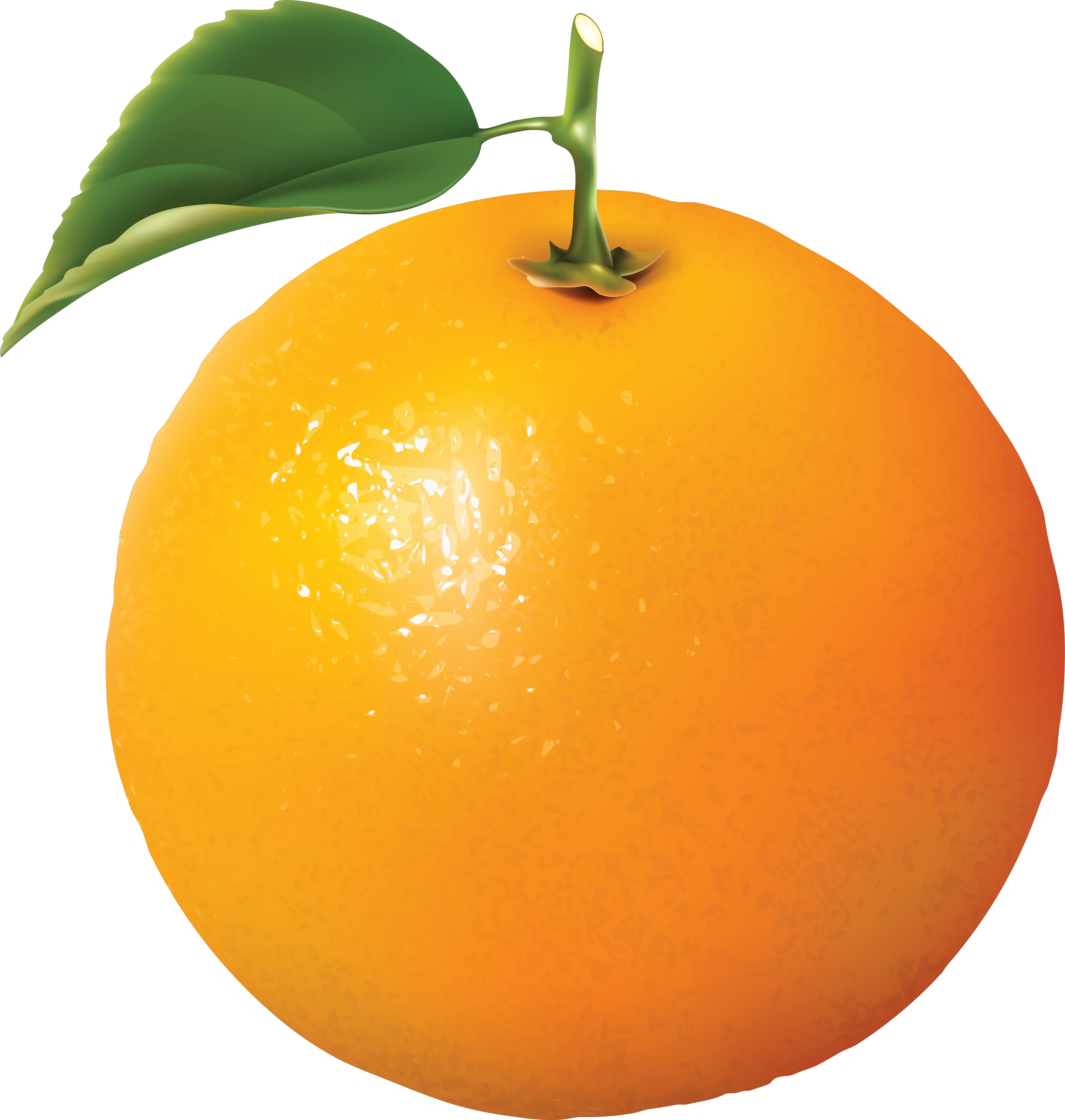 Ripe orange PNG