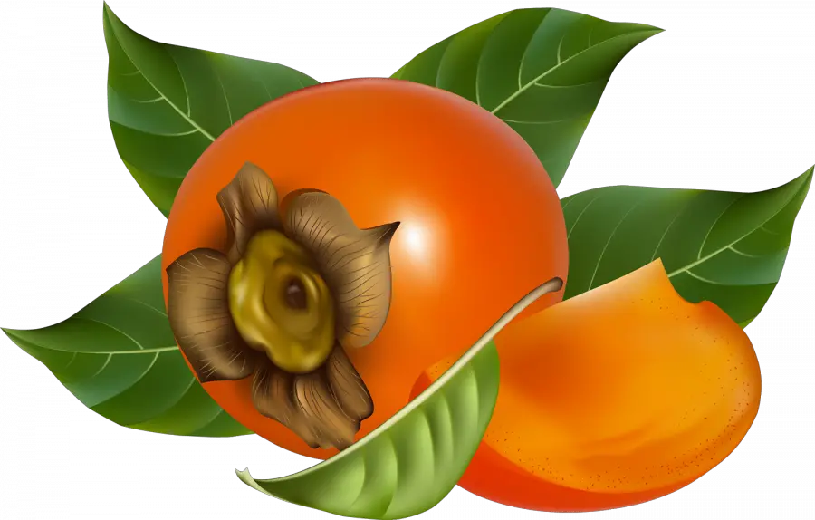 Persimmon PNG