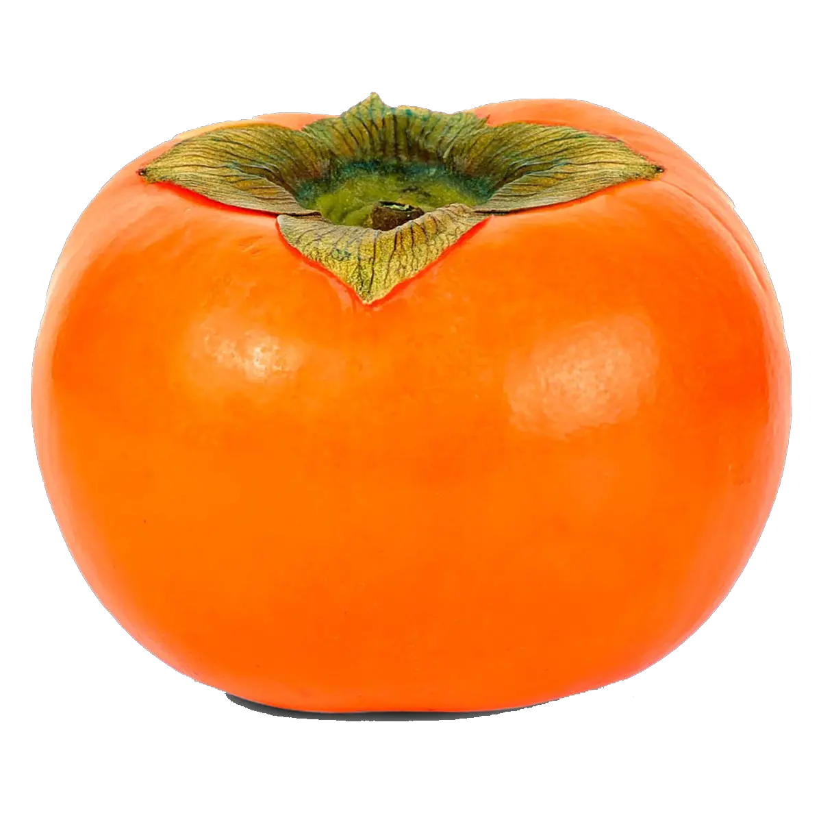 Persimmon PNG