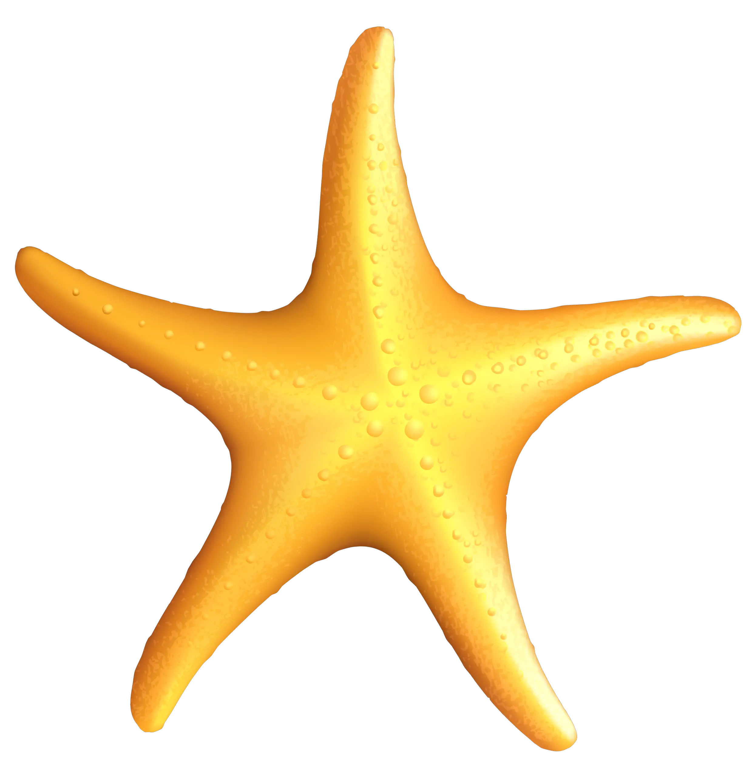 Starfish PNG