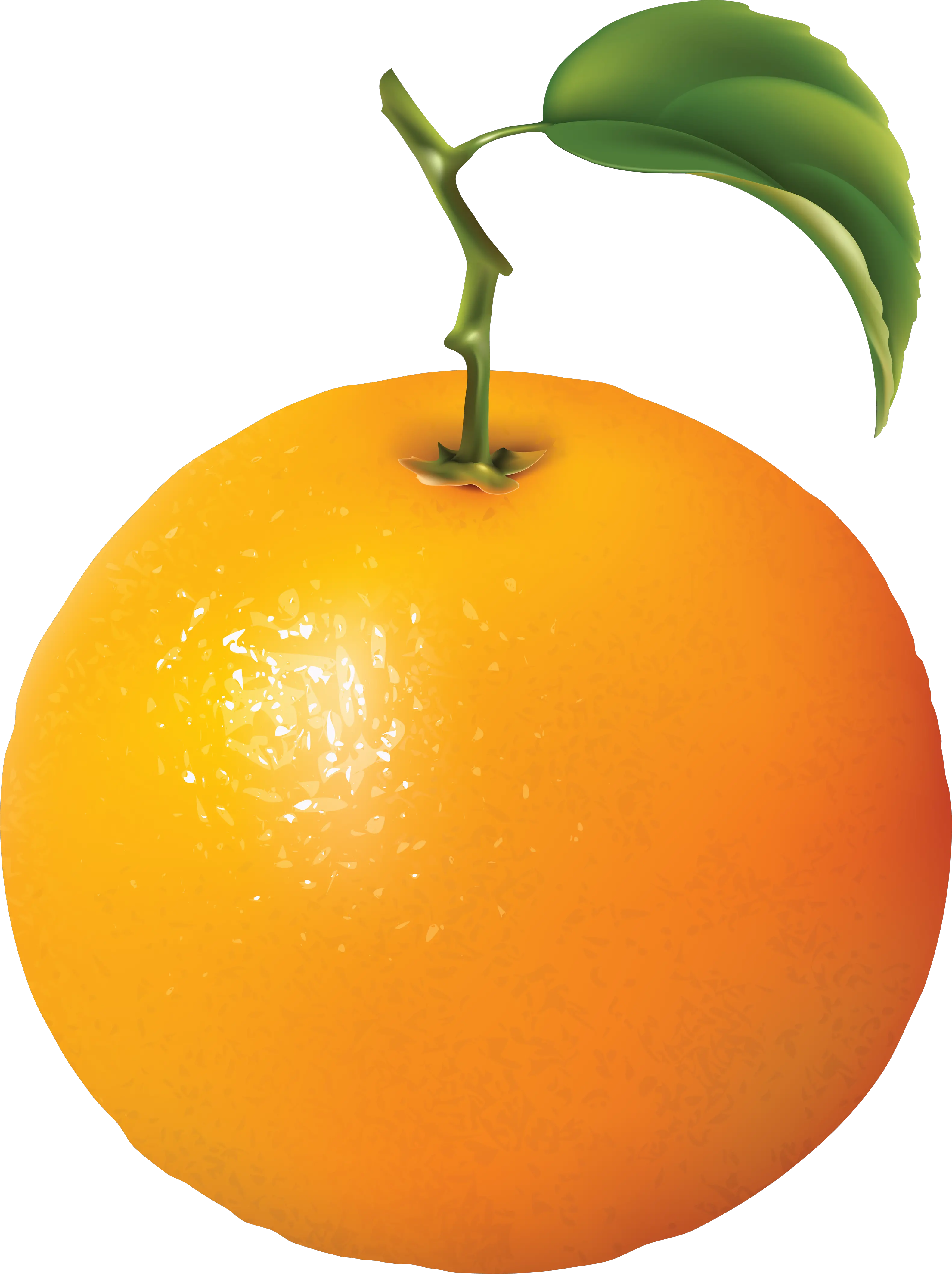 Orange PNG image with gree leaf