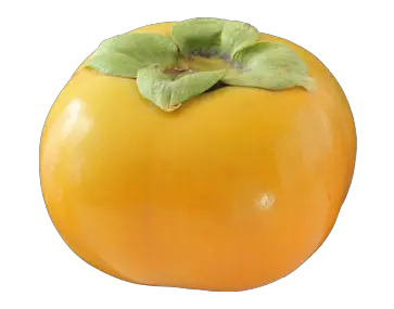 Persimmon PNG image